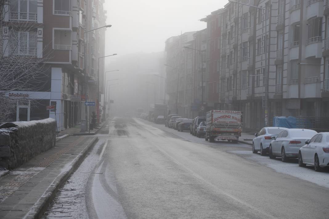 Erzurum, Ardahan ve Kars'ta kar yağışı etkili oluyor 8